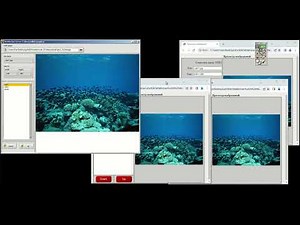 Communication WebBrowser and Labview using WebSocket