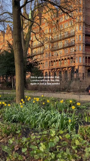 we’ve made it through January and spring is just around the corner! 🌼 #maddiespostcards #foryou #springinlondon