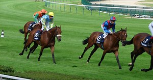 Quelles sont les 5 courses hippiques les plus prestigieuses du monde?