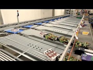Optimus Sorter Technology - Sorter for Food and non-Food products - OptiSorter