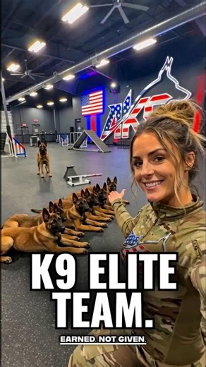 THE ELITE SIX 🇺🇸 #k9 #belgianmalinois #military #usa #america