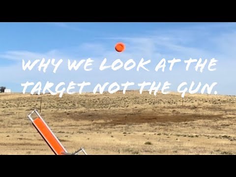 How to shoot trap, skeet, or sporting clays. Look at a target not the gun