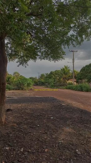 Rastros de vaquejada on Instagram: "🔊 - @willy_vaqueiro . . . . 💻: @rogerioleandro01 . . . . ▫Parceiros da pagina: @rb_status_de_vaquejada_ofc @_status_de_vaqueiro_oficial @frase_de_vaquejadaof_ @vaquerinhavaquerinha @ri_status_devaquejada @amor.pela.vaquejada @equipee_vaquejada @status_vaqueijada6 @mande_in_country @rnvaquejadaeshow @marreta_oficial1o @daany_araujo.100 @vaqueirama_100_ @sandyy_soaress @vb_vaquejada @jess.vaqueira @kariny.ana25 @pegadeboi4 @asagrogirls @sertao_sil_ . . . . . .