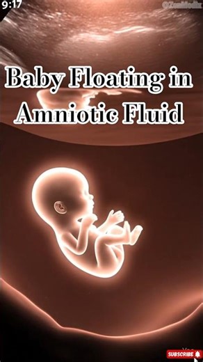 Baby Floating in Amniotic Fluid | Inside the Womb Animation