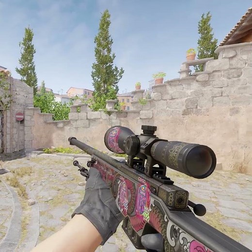 AWP Duality Sticker Craft | CS2 (2024)