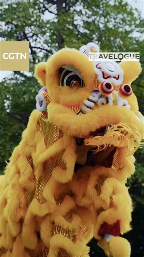 Kung fu has been part of Guangdong culture for several centuries. From celebrations to everyday activities, kung fu touches every aspect of life here. The famous lion dance is also a form of kung fu. And in Guangdong, people say that where there's an ancestral hall, there's always a lion dance performance. #Travel #SharedFuture10Years #TheNewSilkRoad #Heritage Travelogue For more: https://news.cgtn.com/news/2023-07-25/Lion-dance-1lHUUuHDX5C/index.html | China Plus Culture