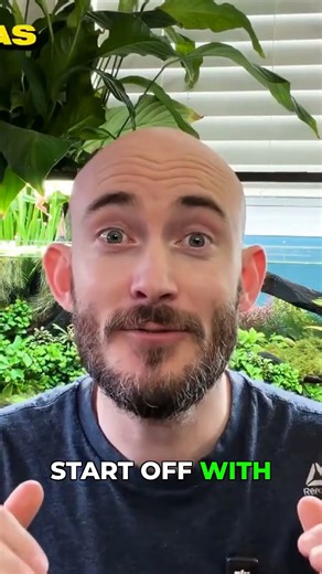 My Top 5 Shrimp-Friendly Nano Fish Revealed!