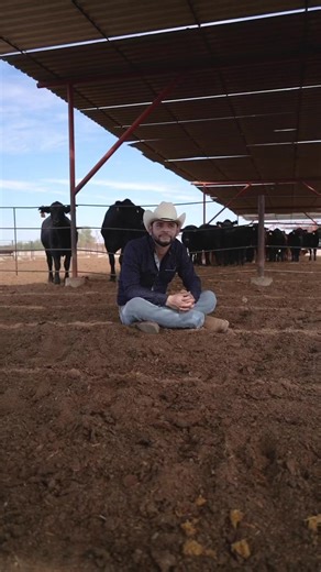 45K views · 311 reactions | Para los escépticos de la carne sonorense, El pecuario visitó nuestros corrales y nos habla sobre el ganado que manejamos.  ¡Pide y recoge! Haz tu pedido por Whatsapp al (662) 508 0357 y visítanos en nuestra Tienda JC en Blvd. Colosio, esq. Blvd. Solidaridad. Hermosillo, Sonora 數 Envíos a todo México, compra en www.carnesjc.com #AsíSabeSonora #CortesPremium #Ganado | Carnes JC | Facebook