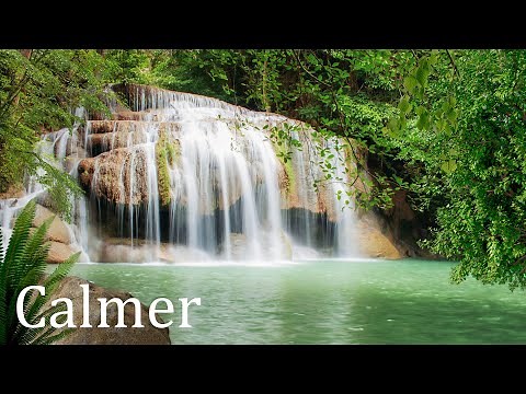 Méditation - Calmez L'esprit - Musique zen Pour Méditer Avec des Sons de la Nature - Relaxation
