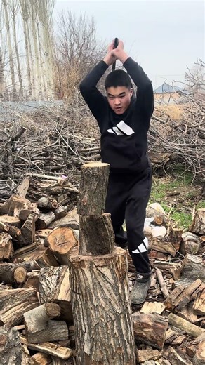 One Cut. Two Logs. Perfect Drop.