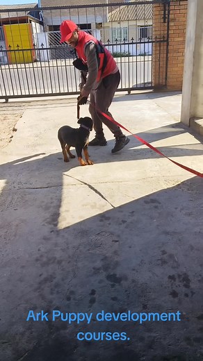 1.3K views | Oxytocin is a peptide hormone and neuropeptide found in...