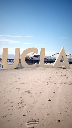 POV: You’re a Bruin in L.A. on Thanksgiving weekend.🐻🌴☀️🌊 | UCLA