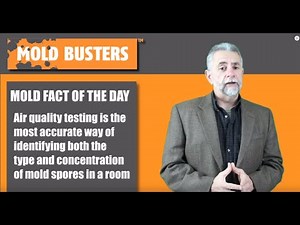 Air Quality Testing for Mold