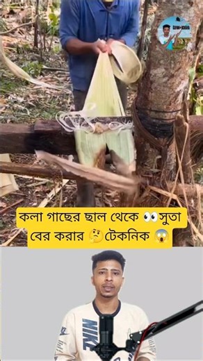 Making Thread from Banana Tree Bark