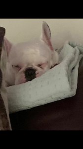 Brenda Ellwanger on Reels