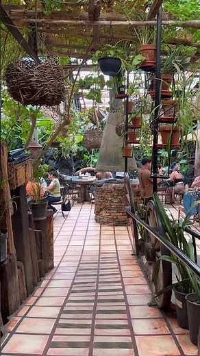 El Nido restaurant 🇲🇽 a Rosarito classic with over 50 years 🙌🏻 #viralvideo #fyp