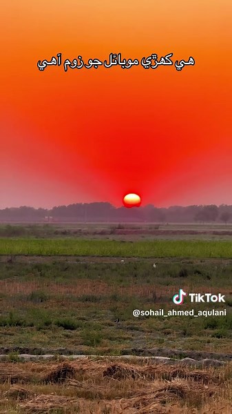 Best Zoom Features of Mobile Phones