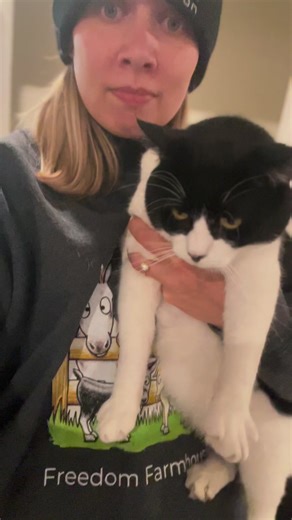 Anyone have a cat that is like this? Maci will jump on other furniture, but never the bed. And almost immediately jumps off whenever I put him on it🤔 #catsofinstagram #catstagram #formerferal #catlover #catlife | Freedom Farmhouse