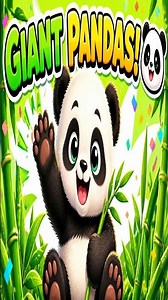 🐼 Giant Pandas Are Amazing! | Fun Animal Facts for Kids