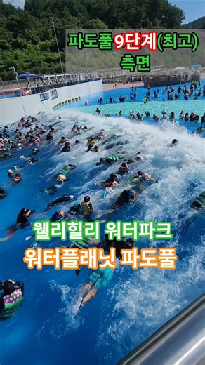 [강브르] 웰리힐리 워터파크 파도풀 9단계😱 #최고단계 #워터플래닛 #웰리힐리파크