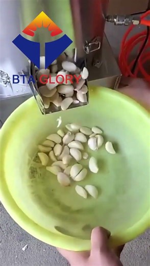 Garlic Peeling Machine Air Stripping Garlic Peeler #food #machine #garlic #peeling