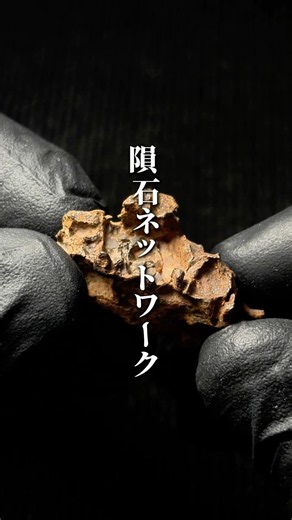 Japan's Meteorite Shop, Meteos. There’s no meteorite we can’t find.