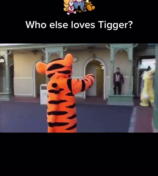 Tigger and Pooh Adventures at Disney World