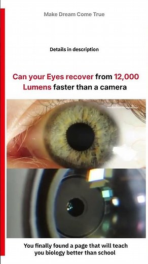 🔦 Can your Eyes recover 👁️ from 12,000 Lumens ☄️ faster than a camera can 📸 | MDCT