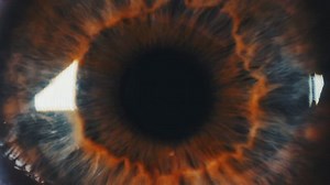 Eye Iris Pupil Extreme Closeup Iris Stock Footage Video (100% Royalty-free) 13045808 | Shutterstock
