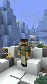 What to build in the ice spikes biome in #minecraft #minecrafttips #minecraftbuilding