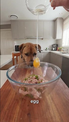 He Wanted In 🐶 Easy Chicken Dog Treats