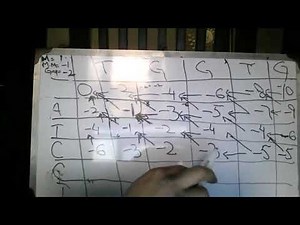 Introduction to Bioinformatics - Needleman Wunsch algorithm - Part 3 (Lecture 11)