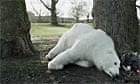 Greenpeace's Save the Arctic video
