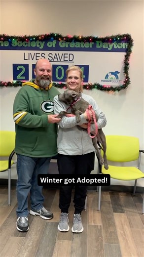 From a holiday foster to a forever home just like that 🤍 Winter’s foster opened their home to her for the holidays, and soon after, she met her perfect forever family. With her tail wagging a mile a minute, it was love at first sight. Adoptions like this are pure magic, and we are so grateful to be part of these happy beginnings. #Adopted #ForeverHome #HappyTails #AdoptionDay #RescueDog #HolidayFoster #AdoptDontShop #ShelterLove #HappilyEverAfter Visit hsdayton.org/adopt to see all of our curre