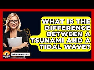 What Is The Difference Between A Tsunami And A Tidal Wave? - The Documentary Reel