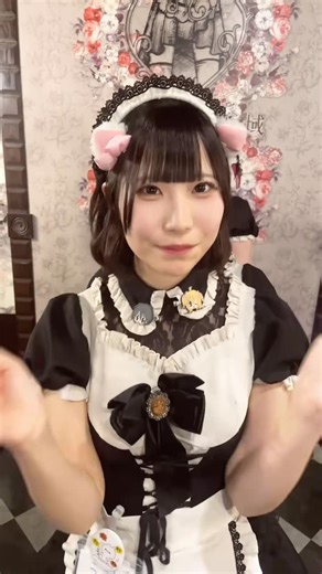 カワイイメイドカフェ アキバ絶対領域 on Instagram: "@akibazettai ⇦他の猫ちゃんたちはこちら🐈🐾 こんにちは🌤️ 秋葉原のメイド喫茶『アキバ絶対領域』です🐈‍⬛🎶 秋葉原でわたしたちメイドと遊ぶなら 『アキバ絶対領域』にお越しください🎀🎶 お気に入りのメイドを見つけに 是非お越しくださいにゃん🐾 ♡.*･ﾟ┈┈┈┈┈┈┈┈┈┈┈ﾟ･*.♡ 【店舗情報】 🥀アキバ絶対領域A.D.1912🥀 📍東京都千代田区外神田３丁目１-１５ 箸勝ビル 2F ♡.*･ﾟ┈┈┈┈┈┈┈┈┈┈┈ﾟ･*.♡ 【系列店舗】 🍓アキバ絶対領域🍓 📍東京都千代田区外神田３丁目１－１ 大林ビル 1F 🎮アキバ絶対領域+e🎮 📍東京都千代田区外神田６丁目１４−２ サカイ末広ビル 2F 🤖アキバ絶対領域A.D.