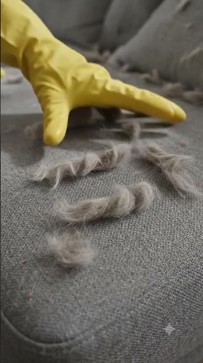 Quick Way to Remove Pet Hair from Sofa