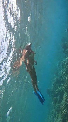 This Is What Paradise Looks Like Underwater! 🐠🌊