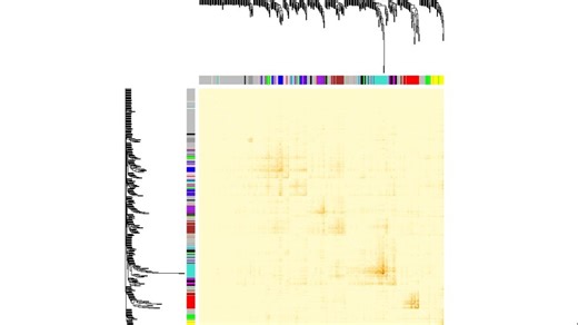 WGCNA转录组数据分析教程，全流程实操（附代码 数据）🚀