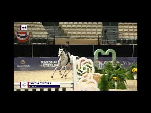 Tabitha Stricker Large Jr Hunter 3'6 16-17 Handy