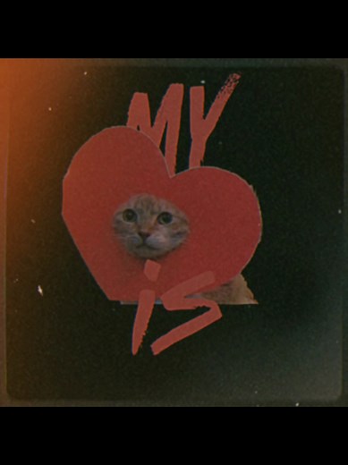 step on me // #lyrics #music #foryoupage #steponme #thecardigans