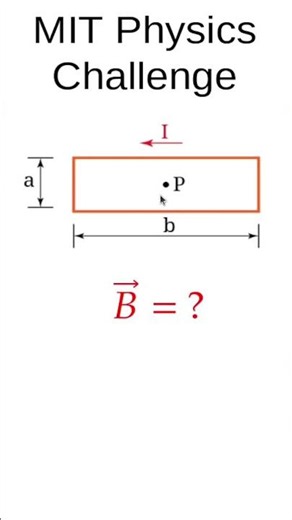 Can You Solve This MIT Physics Problem? 🤯 Magnetic Field of a Rectangular Current Loop