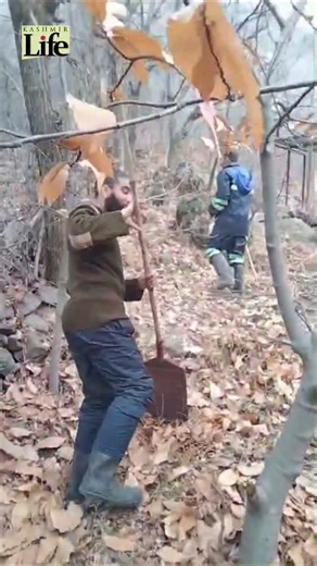 Srinagar: Firefighters Trek to Battle Zabarwan Hills Blaze | Kashmir Life