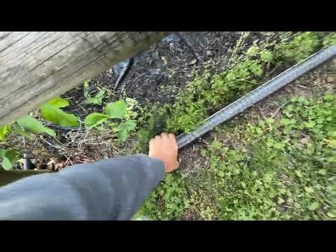 DIY - Bird Netting