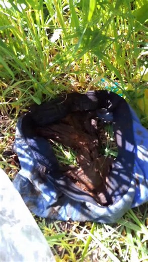timothy richardson (@timothy.richardso4)’s videos with Smoke - Swervyy