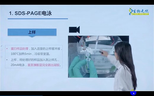 最新28种生物医学实验原理及操作视频，新手入门不发愁！