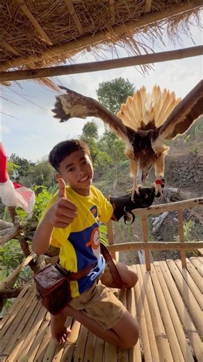 The eagle king landed right into Tarzan's house at nightfall