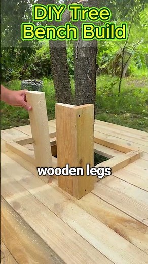 Build a Bench Around Trees
