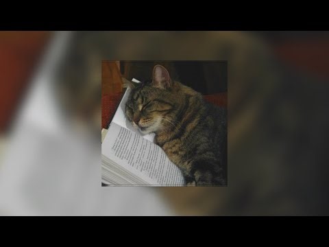 Sparky Deathcap September - 10hour Slowed version + rain