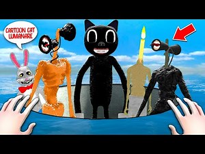CARTOON CAT in GAURA DIN OCEAN la 1 DIMINEATA!